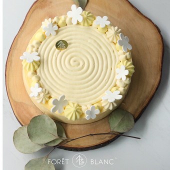 Baked French Lemon Cheesecake (7 Inch)